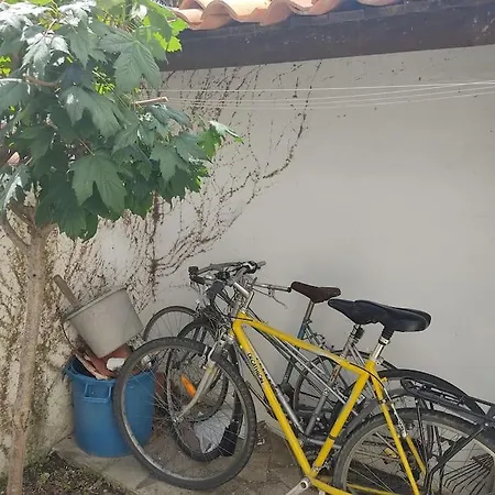 Ferienhaus La Cour Du Moulin/t3/centre-ville/wi-fi/terrasse *